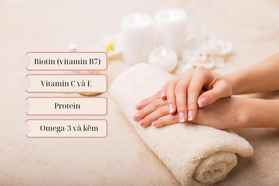 Cung cấp đầy đủ các dưỡng chất thiết yếu cho sự phát triển của móng