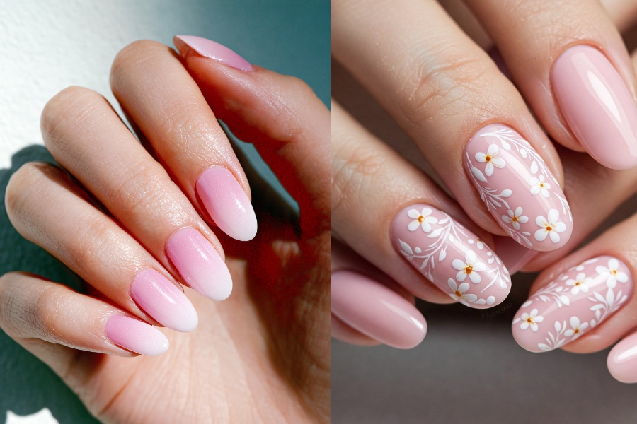 Sắc hồng dịu mắt mang đến cảm giác tươi mới cho dịp xuân về