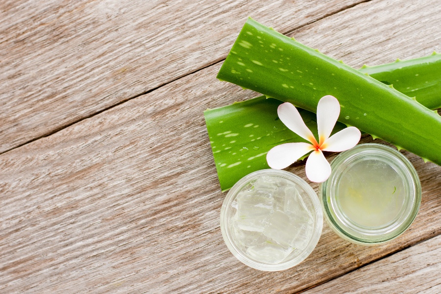 Gel nha đam giúp dưỡng ẩm và kháng viêm