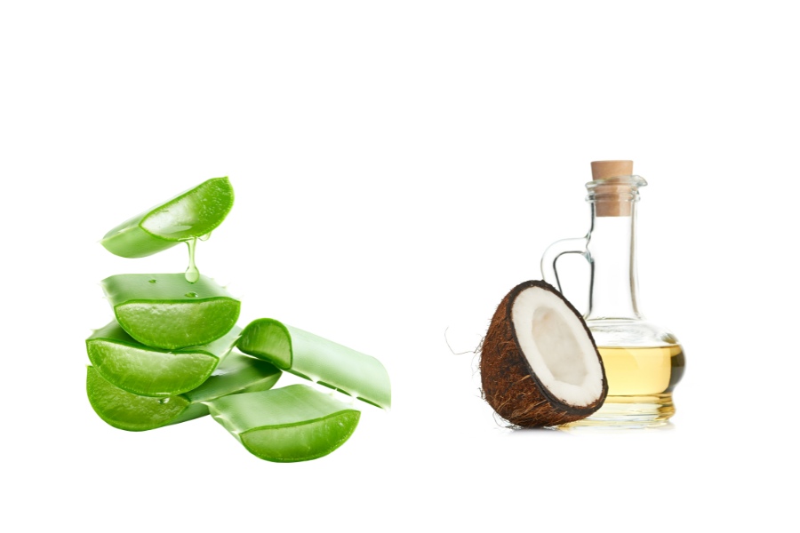 Bộ đôi dầu dừa và nha đam giúp dưỡng ẩm da tay