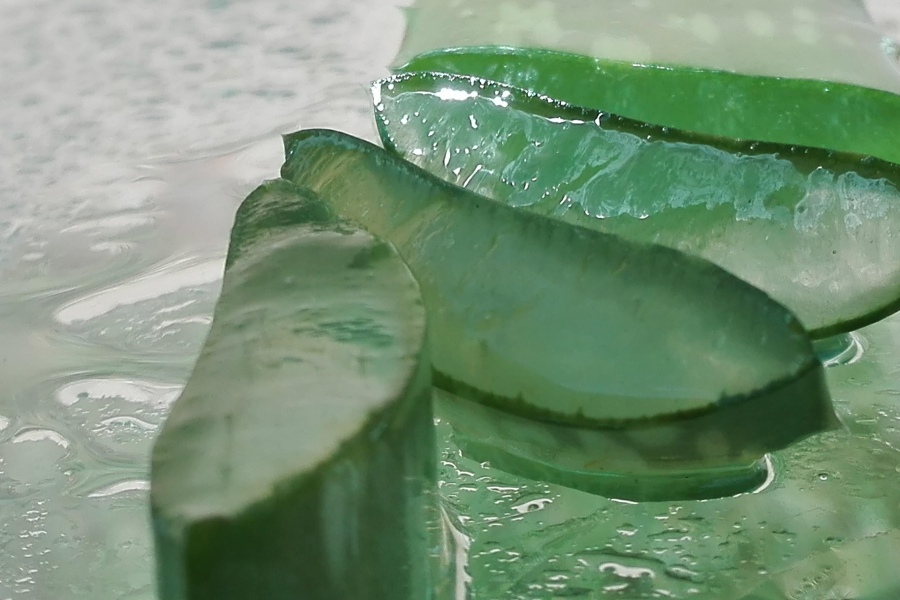 Cách dưỡng da tay bằng nha đam cần thực hiện thường xuyên và kiên trì