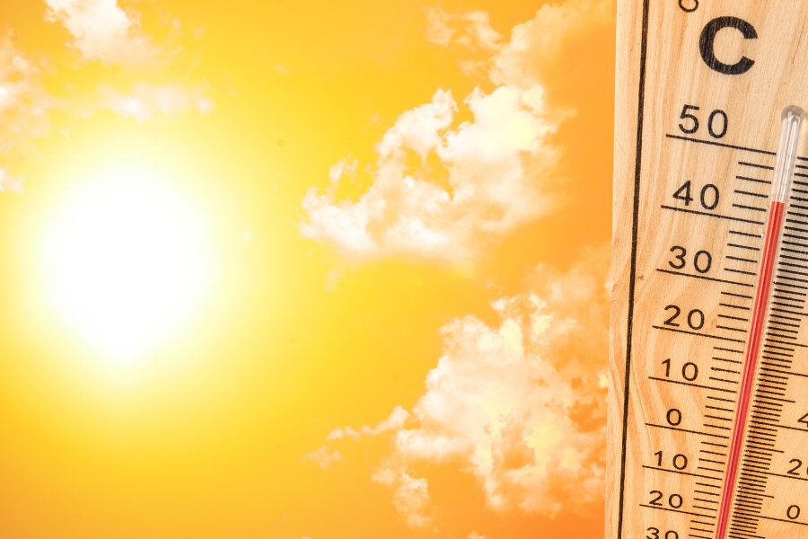 Môi trường, điều kiện thời tiết khắc nghiệt cũng ảnh hưởng đến làn da tay