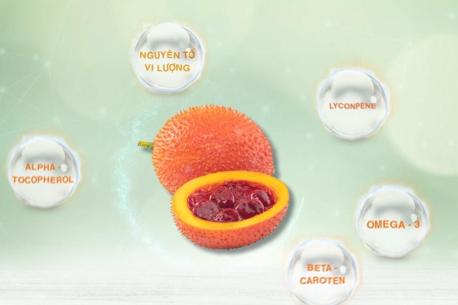 Dầu gấc chứa nhiều dưỡng chất có lợi cho làn da