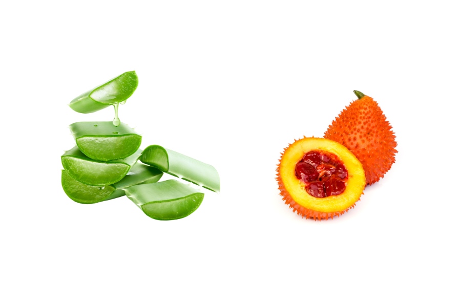 Công thức dầu gấc kết hợp với nha đam giúp làm dịu da