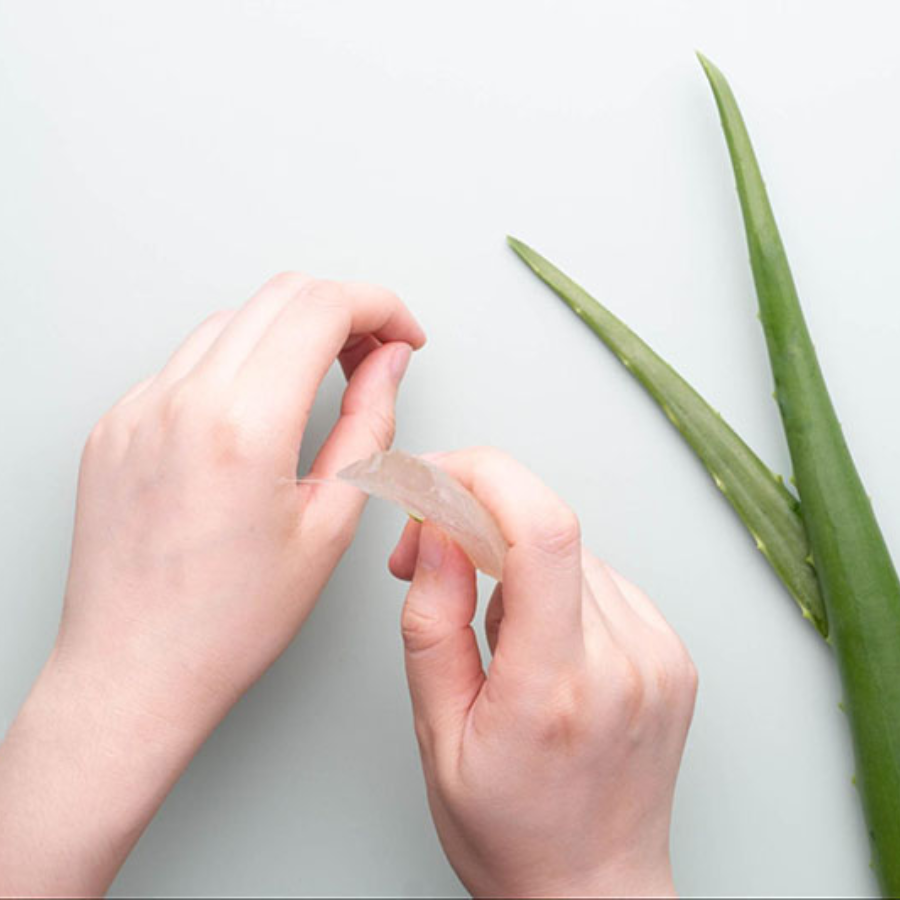 Hướng Dẫn Chi Tiết Cách Dưỡng Da Tay Bằng Gel Nha Đam Từ A - Z