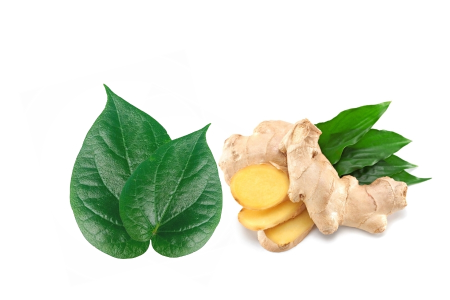 Kết hợp lá trầu với gừng trị nấm móng tay