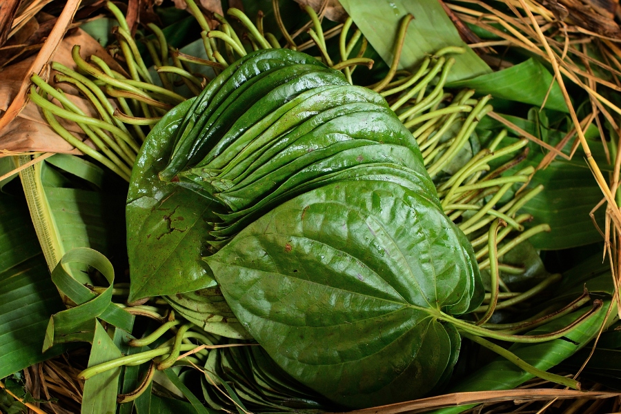 Người bệnh nên dùng kiên trì và thường xuyên để mau khỏi